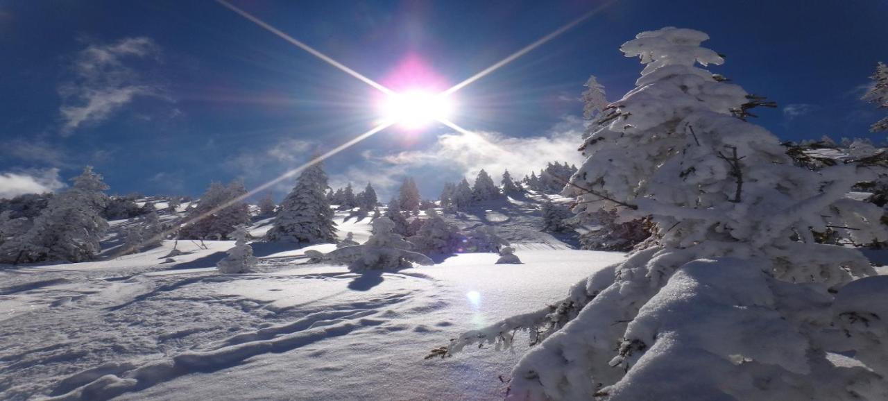 Mountain Kirchberg By Managers *